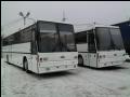 Автобус МАЗ-152062 (междугородний)
